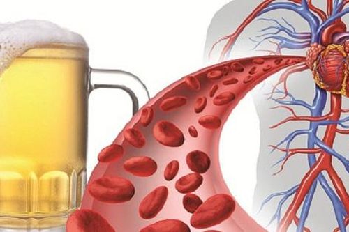 Uống rượu không có lợi cho sức khỏe tim mạch