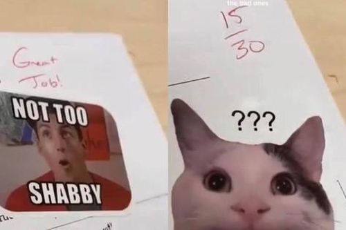Thầy giáo thả nhẹ tấm meme vào bài kiểm tra khiến học trò cười muốn xỉu: 'Ủa, alo thầy?!'