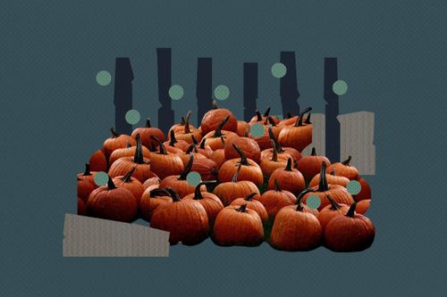 Tại sao bí ngô là biểu tượng của lễ Halloween