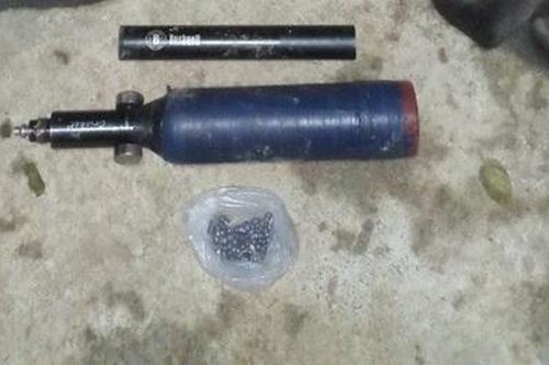 Quảng Ngãi: Xác định 2 đối tượng bắn chết 5 con voọc chà vá chân xám