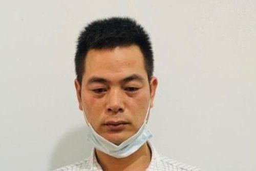 Giết vợ, đâm trọng thương bố vợ ngay tại tòa án