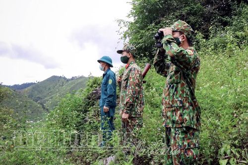 Giữ vững 'vùng xanh' khu vực biên giới