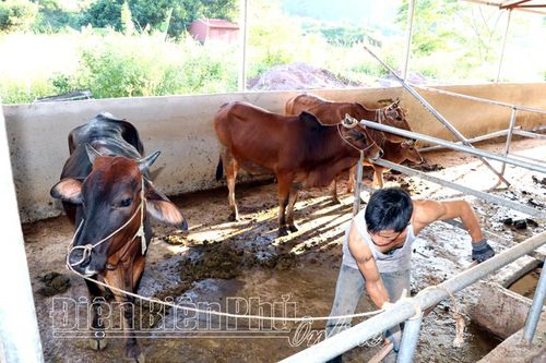 Hướng tới giảm nghèo đa chiều thực chất