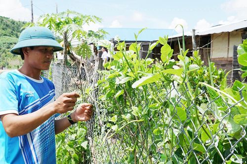 Một chỉ thị, trăm biến chuyển từ làng - Kỳ cuối: Khi ý Đảng thuận lòng dân