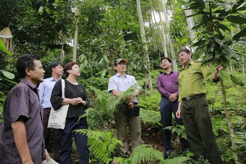 Tăng cường tiếp cận quản lý, sử dụng rừng của đồng bào dân tộc thiểu số