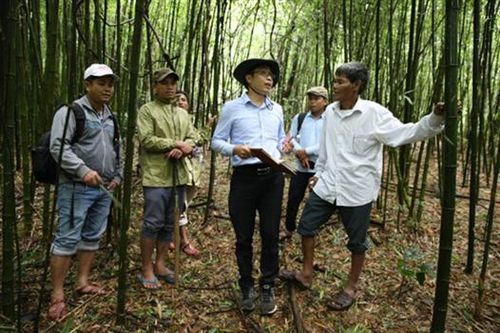Tăng cơ hội hưởng lợi từ rừng cho cộng đồng bảo vệ rừng