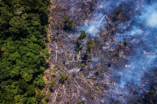 Phát thải khí nhà kính của Brazil tăng 9,5% vào năm 2020