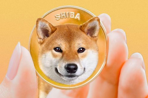 Hồ sơ Shiba Inu, tiền mã hóa vừa vượt mặt Dogecoin