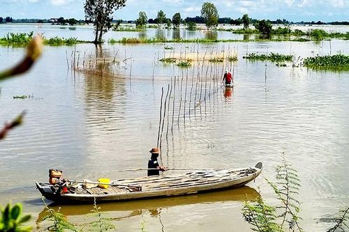 Mưu sinh trong lũ muộn đầu nguồn sông Cửu Long