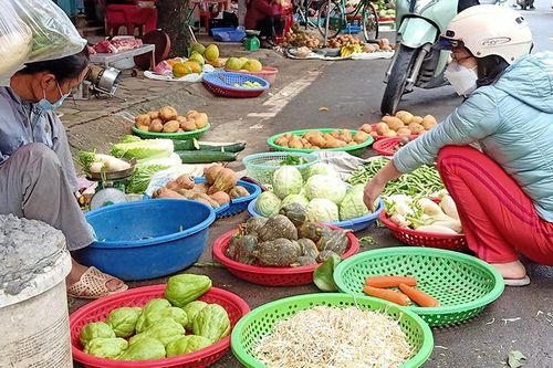 Thái Bình: Khan hiếm nguồn cung, giá rau, củ, quả tăng đột biến