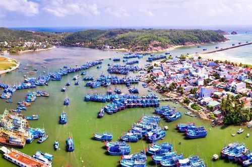 Bình Định: Trên 630ha đất thúc đẩy phát triển các doanh nghiệp nhỏ và vừa