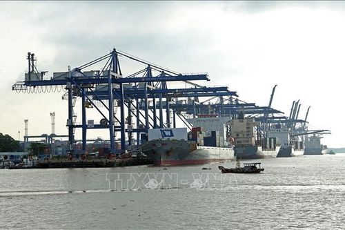 Hàng hải trước 'cửa sáng' để quay lại đà tăng trưởng cao