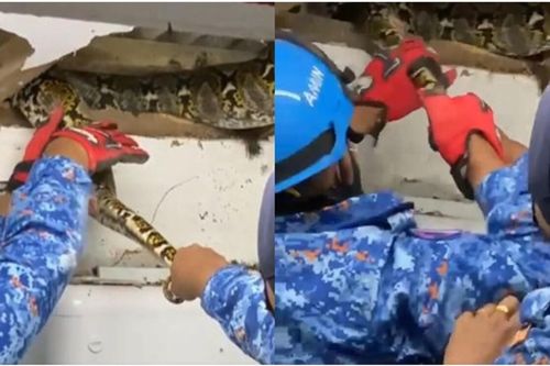 Phòng vệ sinh sạch sẽ bỗng đầy bụi đất, cả nhà sinh nghi đi kiểm tra thì 'tá hỏa' phát hiện thứ trên trần
