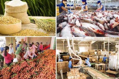 Lâm sản, thủy sản nỗ lực hồi phục sau giãn cách