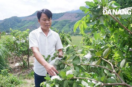 Nghị lực của Khoa