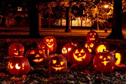 Vì sao quả bí ngô thành biểu tượng của lễ hội Halloween?