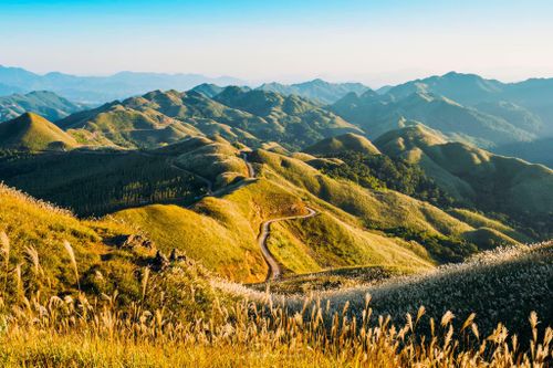 Vi vu miền biên viễn cuối thu, ngắm cỏ lau mọc trắng đồi đẹp như tranh vẽ