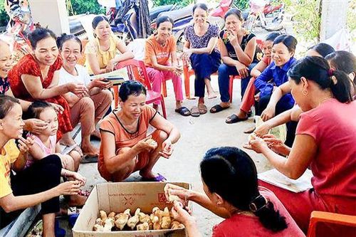 Trường Cao đẳng Kỹ thuật Quảng Trị tích cực đào tạo nghề cho lao động nông thôn