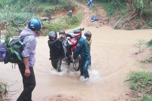 Kinh tế Khó khăn giữ rừng mùa mưa lũ