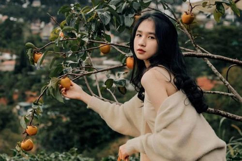 Du khách có thể tới Đà Lạt bằng phương tiện gì?