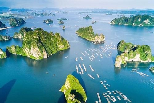 Mê đắm cảnh non nước Vịnh Hạ Long - điểm tham quan hàng đầu châu Á