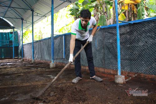 Cử nhân về nuôi giun, tỉnh khen sáng tạo khi lãi 500 triệu/năm