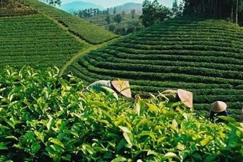 Các đối tác cam kết 665 triệu USD để hỗ trợ phục hồi xanh cho ASEAN