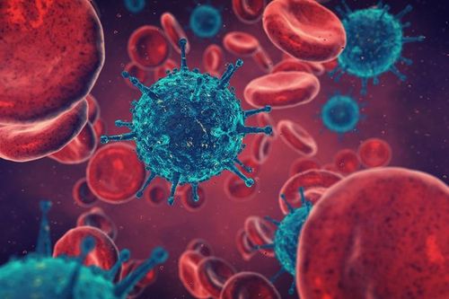 Phát hiện protein trong virus SARS-CoV-2 gây bệnh tim