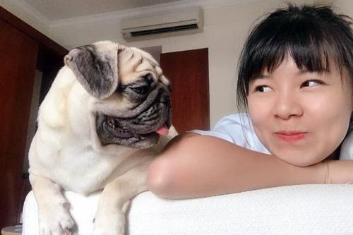 Người nước ngoài ở TP.HCM: Cần có quy định về vật nuôi trong chung cư