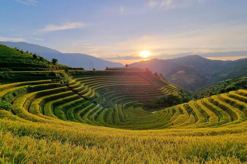 Mê mẩn mùa vàng nơi rẻo cao Mù Cang Chải
