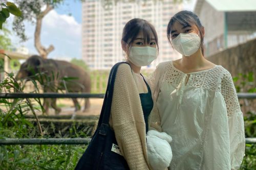 Người TP.HCM thỏa nỗi nhớ Thảo Cầm Viên