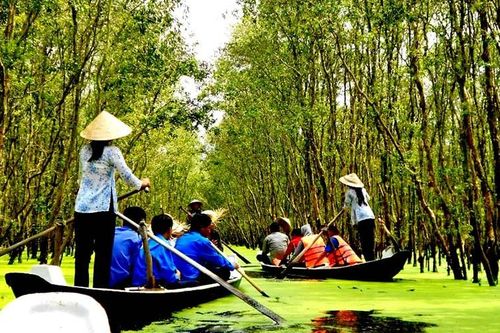 Rừng tràm Trà Sư: Từ vùng trũng hoang hóa đến điểm du lịch lý tưởng