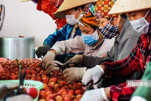 Bộ Công Thương đăng ký cho 88 doanh nghiệp xuất khẩu thực phẩm đi Trung Quốc