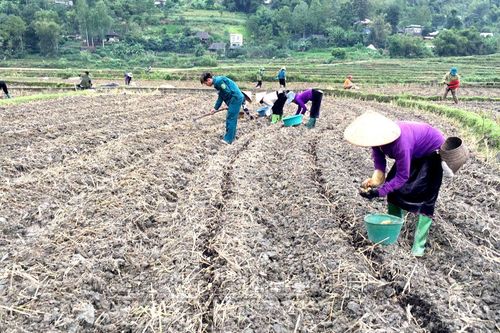Kinh tế TRUYỀN HÌNH INTERNET Lai Châu qua ảnh