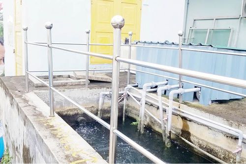 Kinh tế Sản xuất theo 5S+1 trong trạng thái bình thường mới