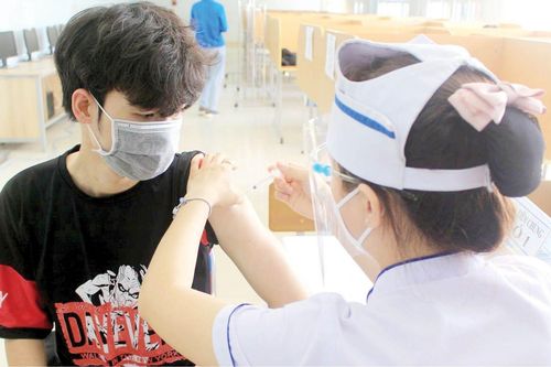 Giáo dục Tin tức giáo dục Nhiều phương án dạy - học bậc đại học
