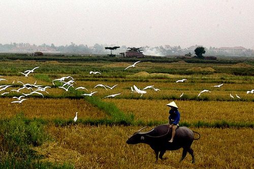 Vẻ đẹp ở ngay trong cuộc sống