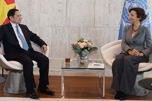 Thúc đẩy hợp tác hơn nữa, đưa quan hệ Đối tác Việt Nam-UNESCO lên một tầm cao mới