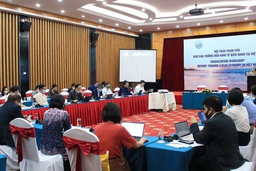 Dư địa phát triển từng lĩnh vực kinh tế biển của Việt Nam còn khá rộng mở