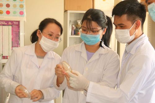 Giáo dục Tin tức giáo dục Ban hành chiến lược phát triển ĐH Huế giai đoạn 2021 - 2030, tầm nhìn 2045