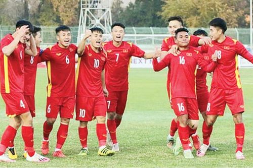 Thể thao Thể thao 'Voi rừng' tỏa sáng
