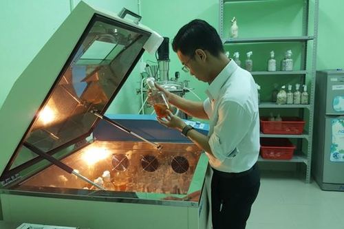 Kinh tế Nông nghiệp - Nông thôn Xây dựng mô hình sản xuất nấm theo hướng hàng hóa