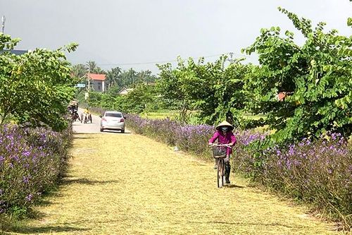 Tam Nông chuyển mình từ xây dựng nông thôn mới