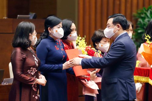 Thành lập Tổ chức nghị sĩ hữu nghị Việt Nam, Nhóm nữ ĐBQH và Nhóm ĐBQH trẻ