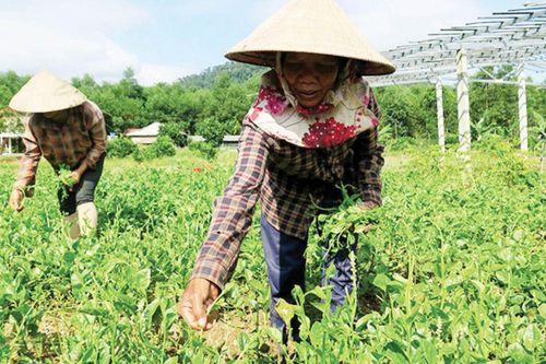 Chính trị - Xã hội Phụ nữ Vị thế mới của phụ nữ dân tộc thiểu số