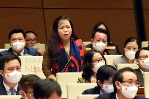 Nên kiên trì chính sách khoan sức dân, nuôi dưỡng nguồn thu
