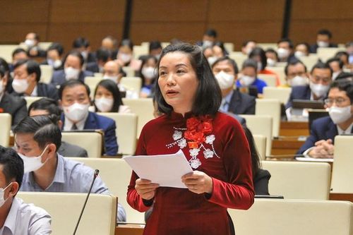 Đại biểu Quốc hội đề nghị nghiên cứu mô hình du lịch mùa thiên tai
