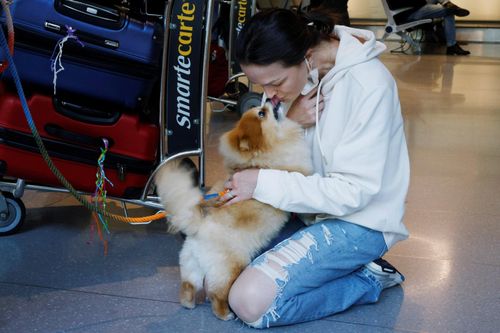 Nước mắt và những cái ôm thật chặt trong ngày đoàn tụ ở Mỹ