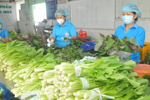 Rau xanh và nhiều mặt hàng tăng giá