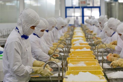 Cần gói giải pháp và cơ chế đặc thù khôi phục kinh tế 2 năm tới